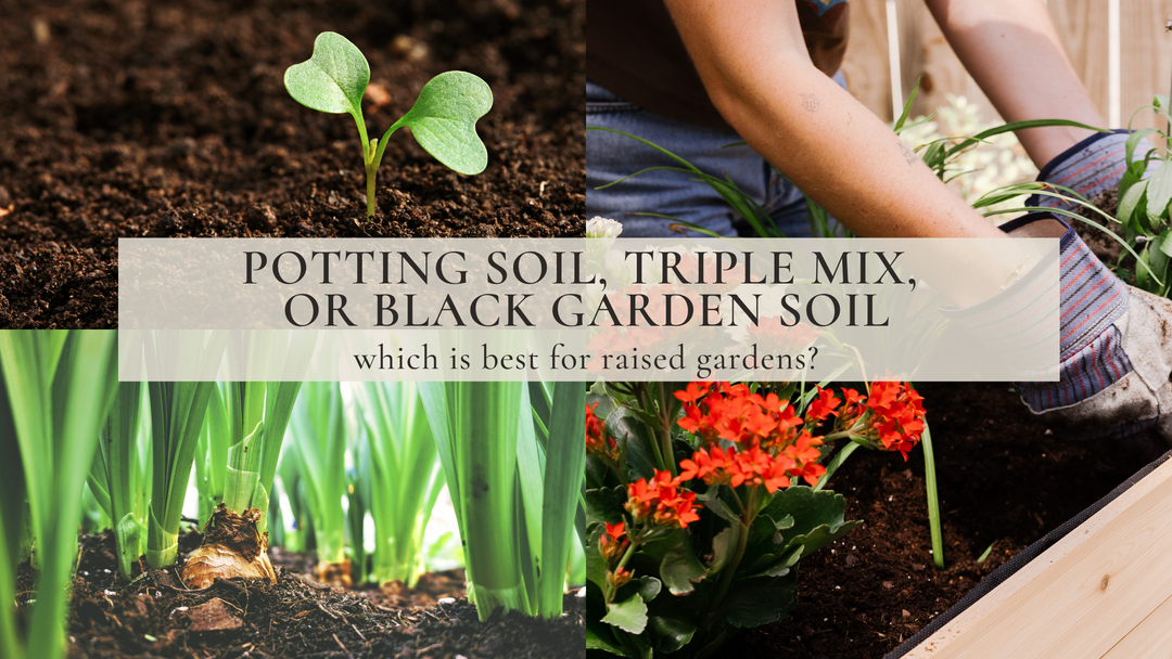 Potting Soil, Triple Mix, or Black Garden Soil?