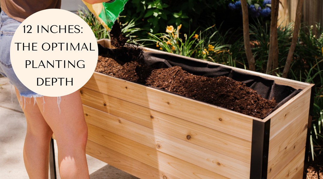 Is a 12 Inch Soil Depth Really Enough?