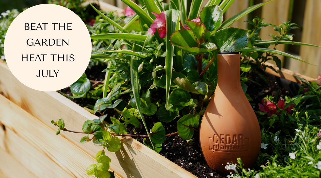 How to Combat July Heat in the Garden with Cedar