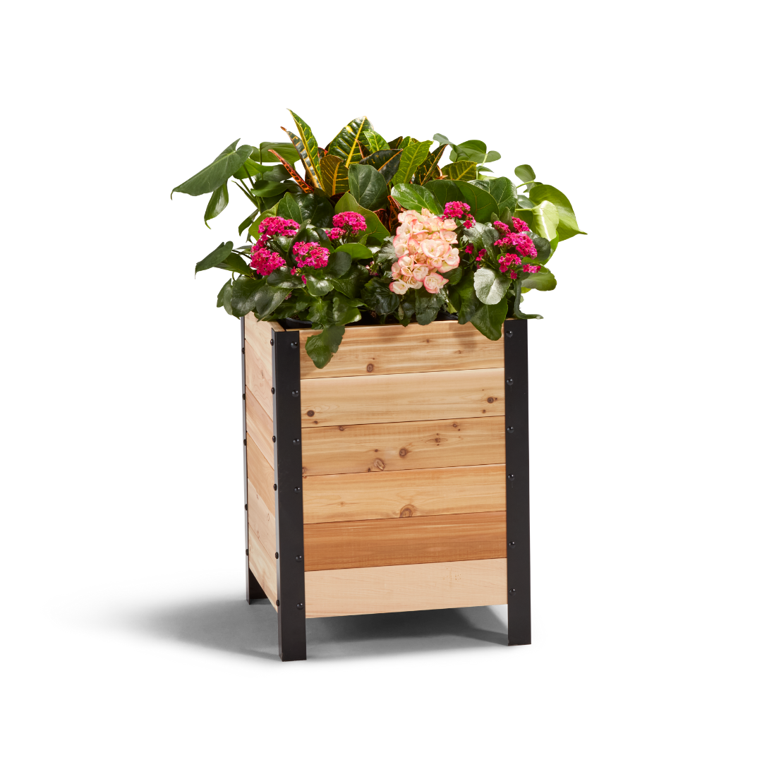 18″ x 18″ Planter Box - 24 TALL – rectangular cedar planter box for outdoor and garden use