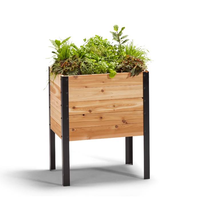 18″ x 24″ Raised Garden Bed - 30 TALL – rectangular cedar planter box for outdoor and garden use