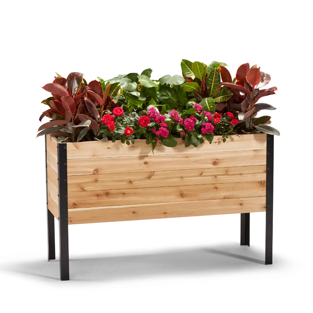 Slim cedar raised garden bed with plants