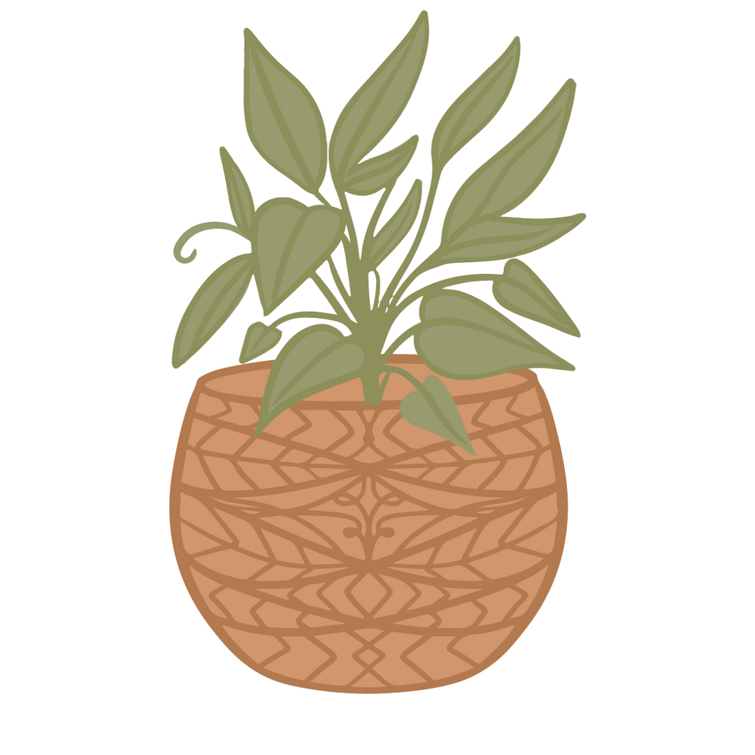 Cedar Planters Image 27171192602812