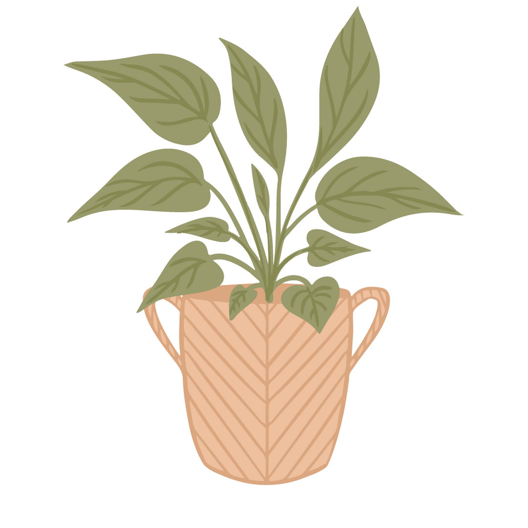 Cedar Planters Image 27171194634428