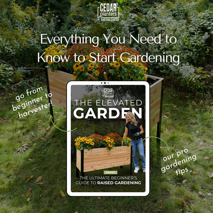 E-Book : Guide du débutant pour le jardinage en hauteur