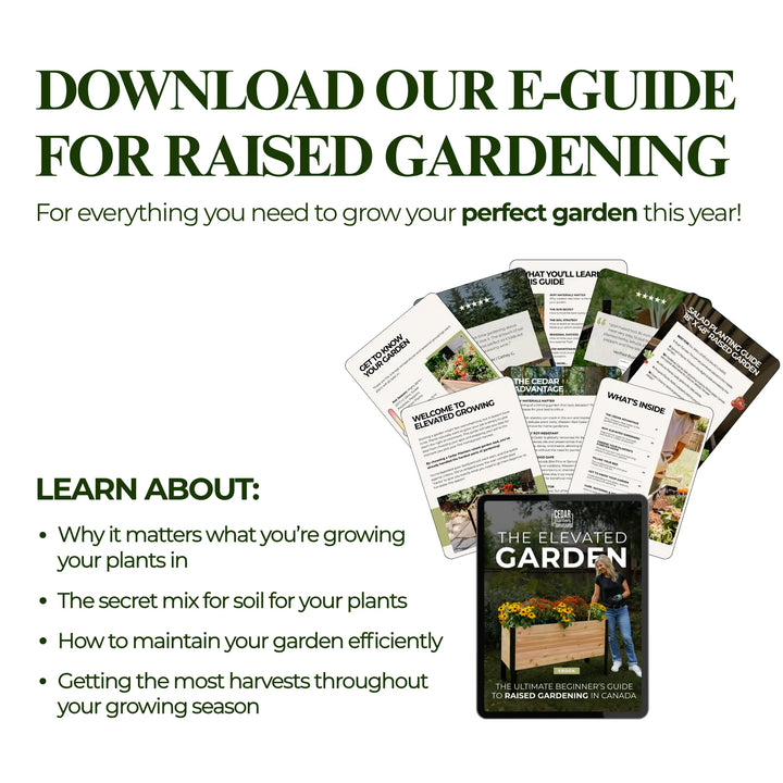 E-Book : Guide du débutant pour le jardinage en hauteur